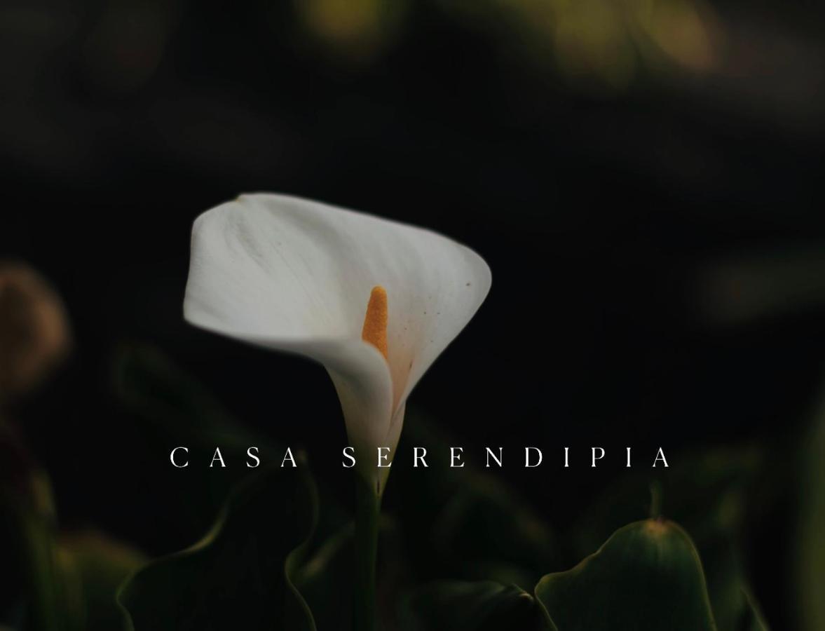 Casa Serendipia La Asomada  ภายนอก รูปภาพ